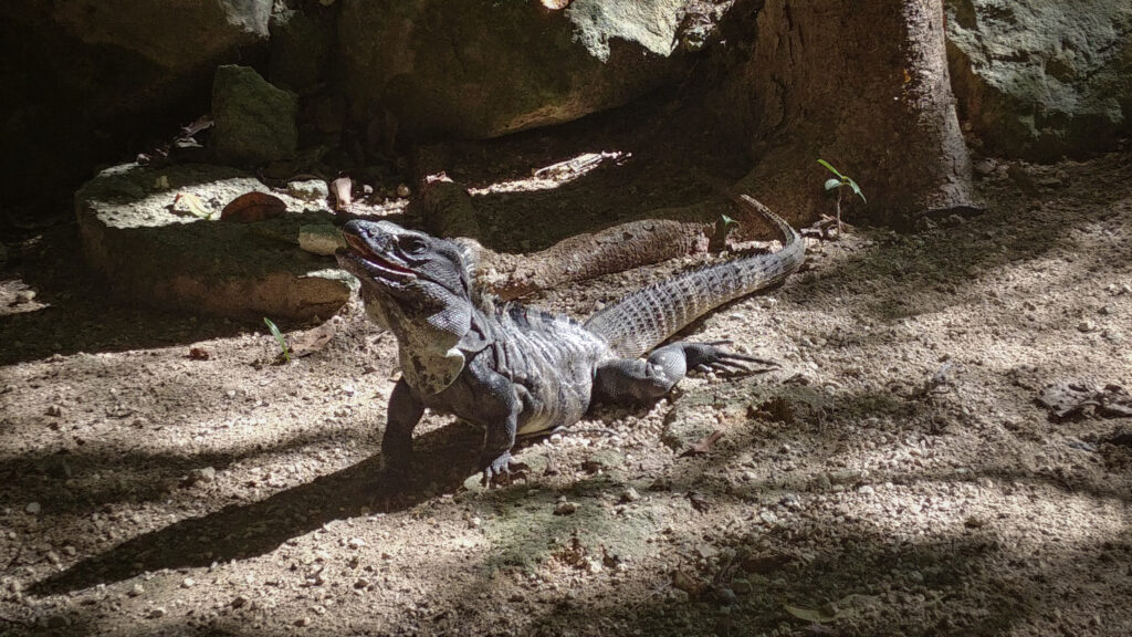 20191227 141035 hdr (1)